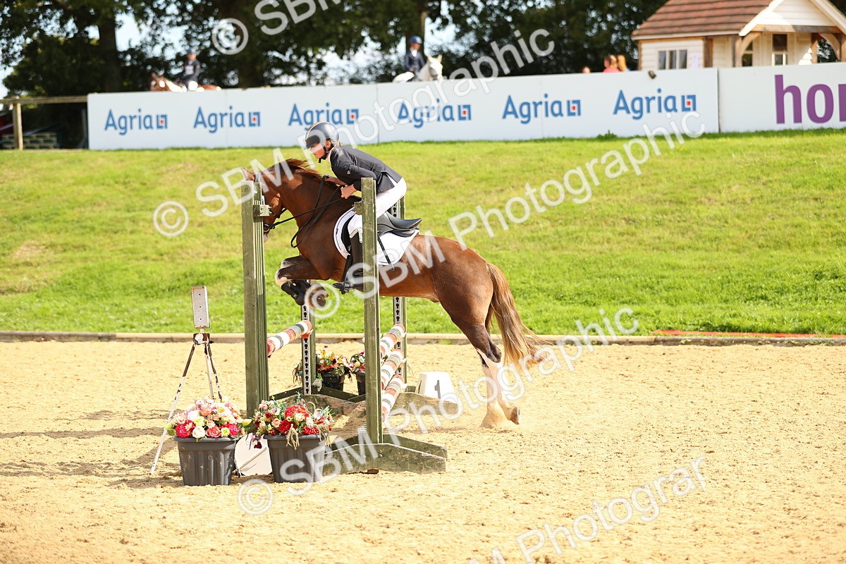 SBM_66094 - J17 - Junior Pony 80cm Championship