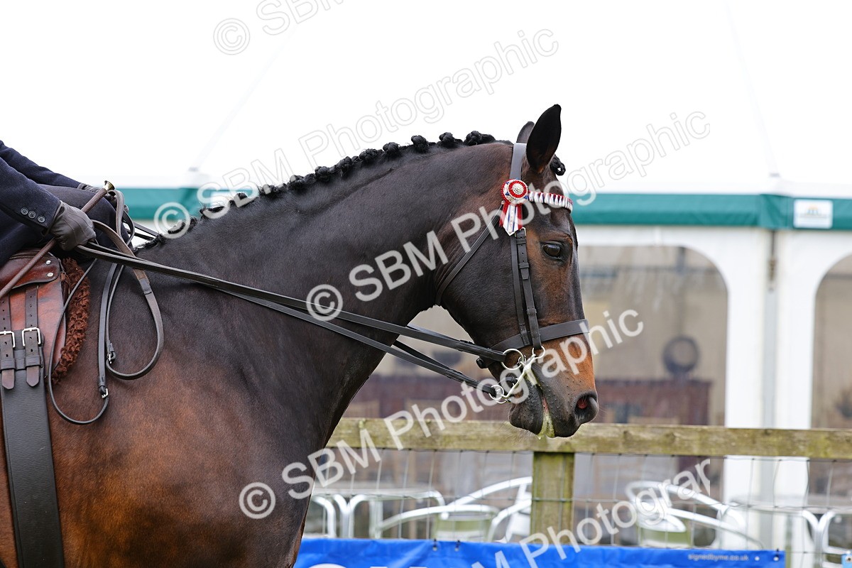 SBM_02798 - Class 9-11 Side Saddle including LIHS Rising Star Ladies Show Horse