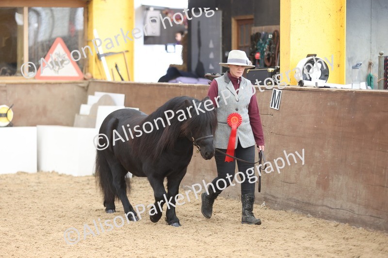 20251109-0117 - Championship