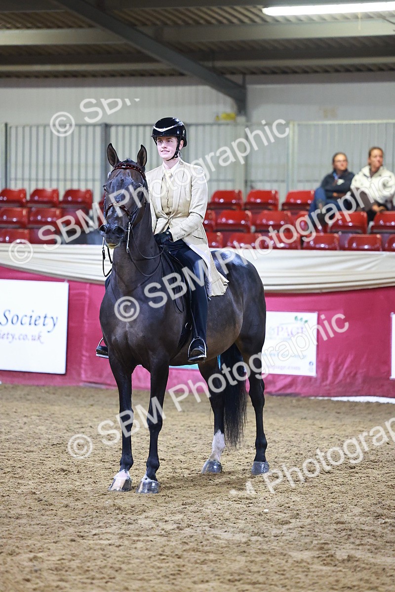 SBM_15526 - Class R - Veteran Champ