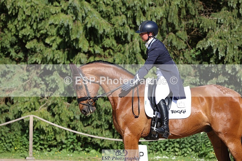 230526-172142-07960 - 177-ARGENTINO_BK-Dani_Evans-WEDTrotUp+DR