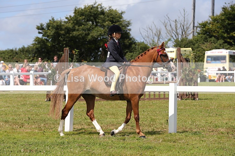 1X9A3875 - Class 31: Show Pony 148cm and under