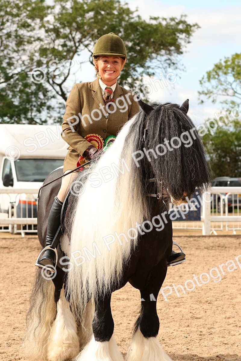 SBM_15732 - Class 215 - Ridden Traditional - Native Cobs