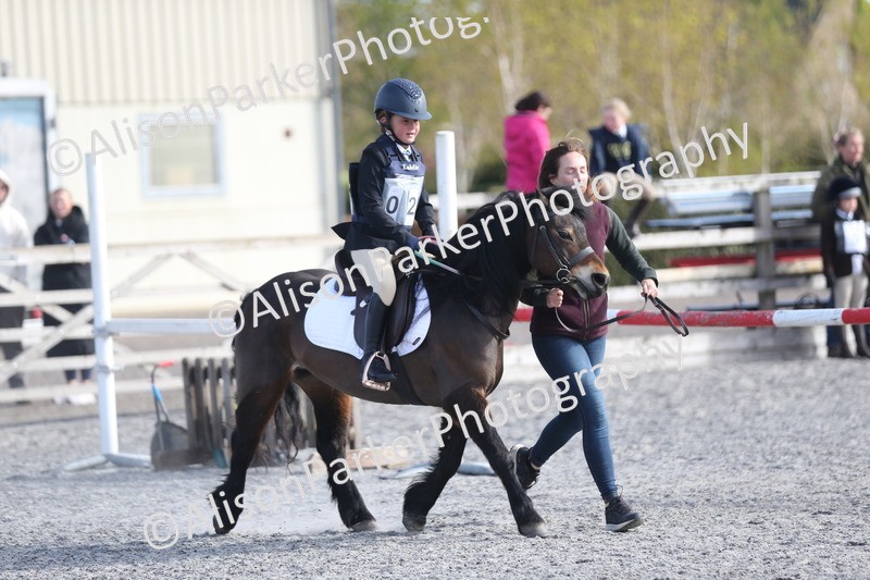 20260412-0053 - Show Jumping