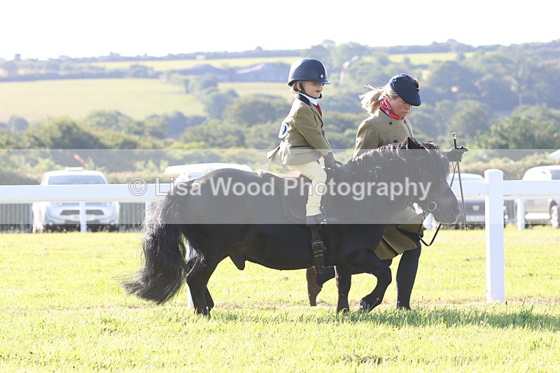 JPP_0677 - Class 16: Cornish Combination Leading Rein