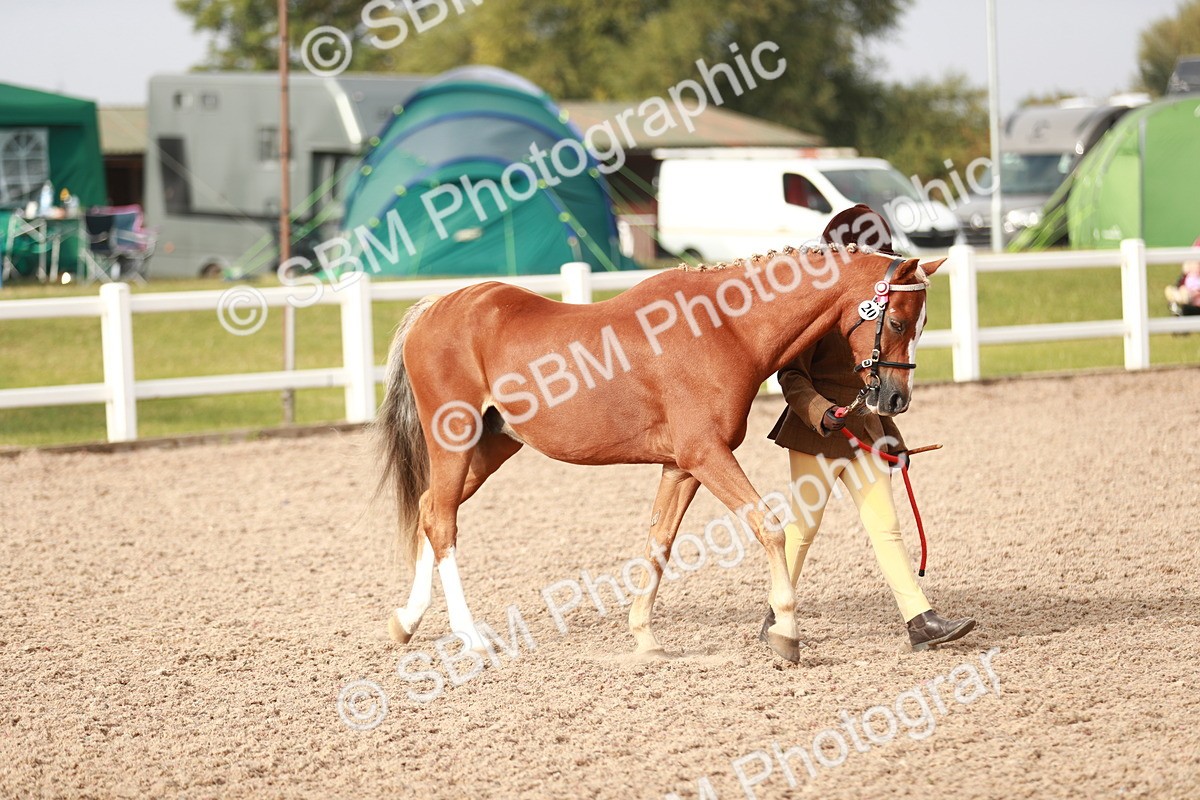 SBM_09847 - Class 203 Young Handler, 10 years and under