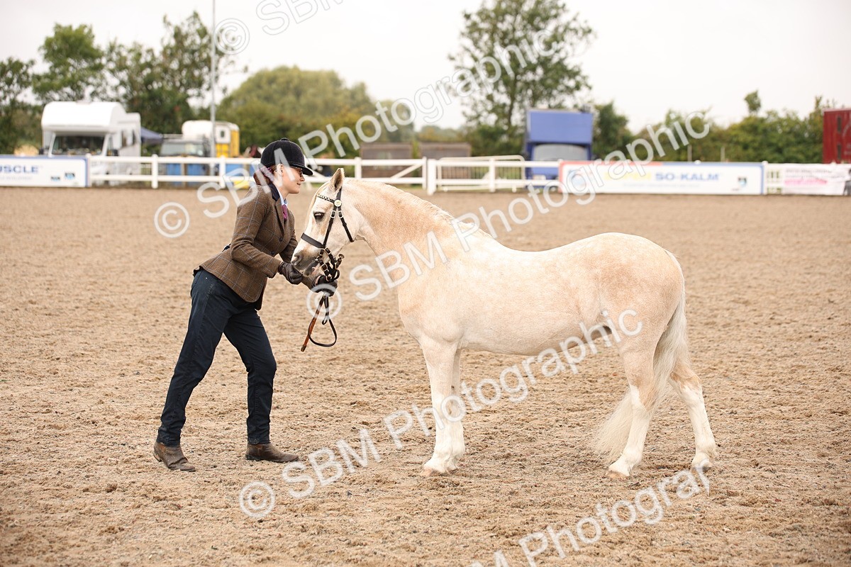 SBM_21505 - Class 706 - IH  Veteran
