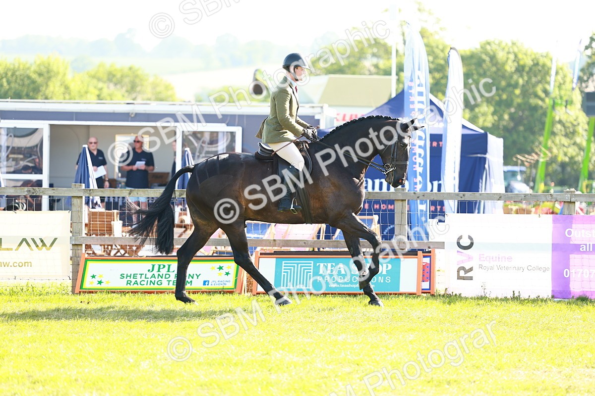 SBM_10928 - Class 66-69 - RIHS Ridden Hunters Inc Small Hunter