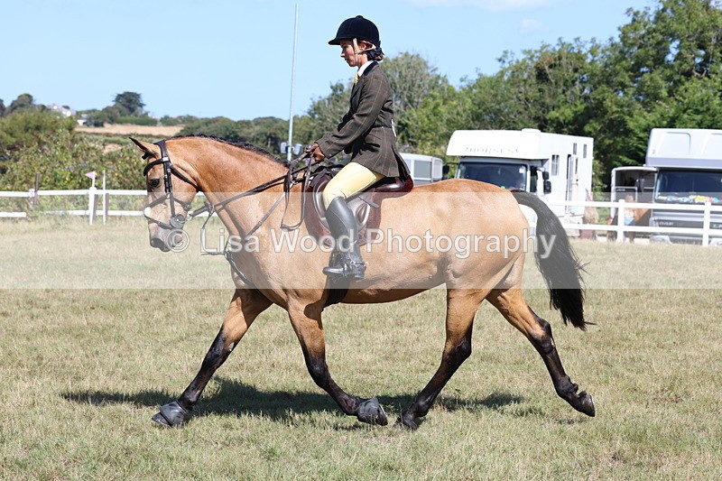 3E7A6261 - Class 6: Working Hunter 1m