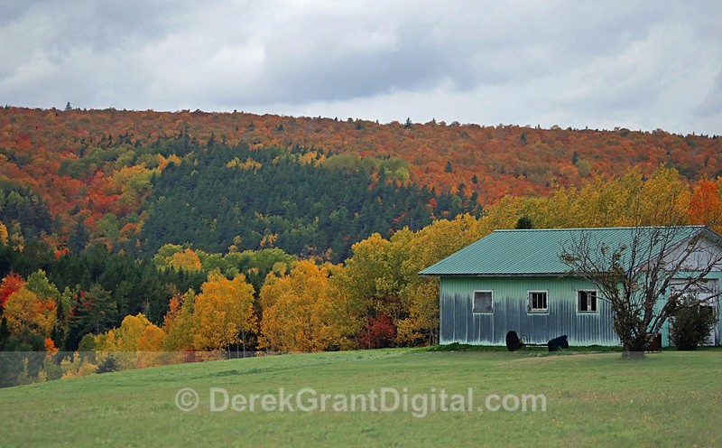 Fall Colors New Brunswick Canada - Autumn Foliage