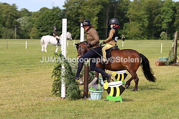 IMG_2165 - Working Hunter