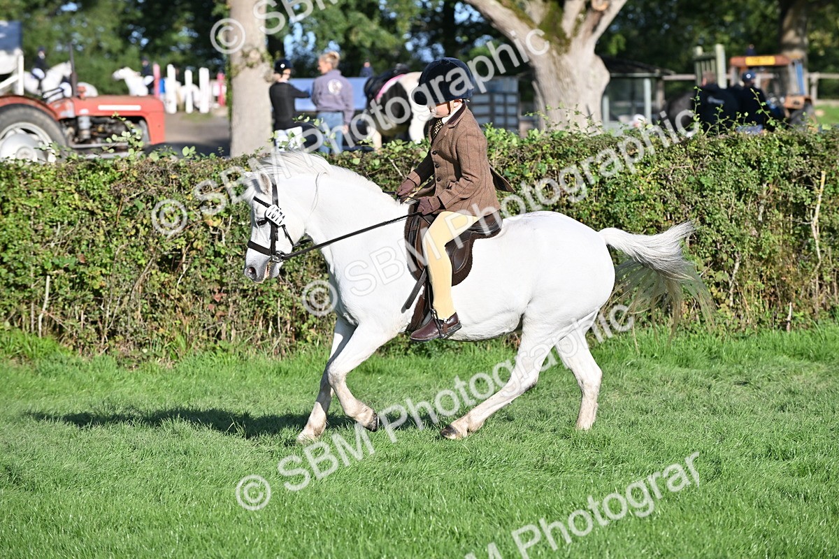 SBM_53032 - S23 - First Ridden Mountain & Moorland Pony