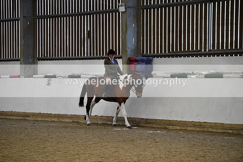 WJ5_5982 - Class 9 Ridden Veteran