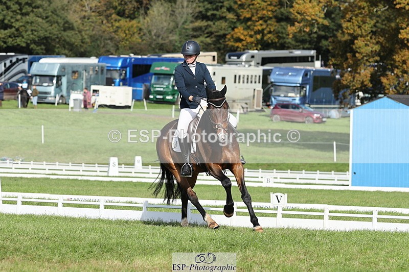 251024A-114155-10035 - D-354-Poppy.Burner