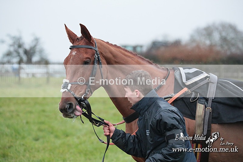 PtP 031223 427 - Wheatland Hunt PtP Chaddesley Races 03/12/23