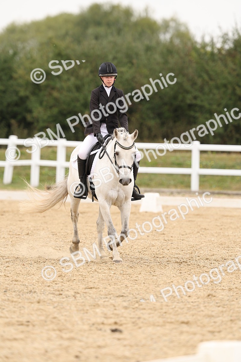 SBM_01080 - Class 8 - Novice 27 Champs