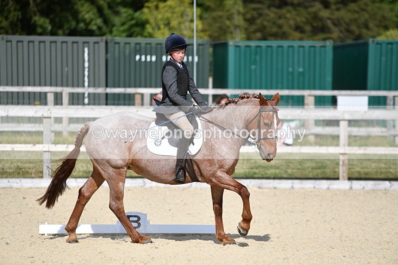 WJ5_8021 - Time 16:56 to 17:14