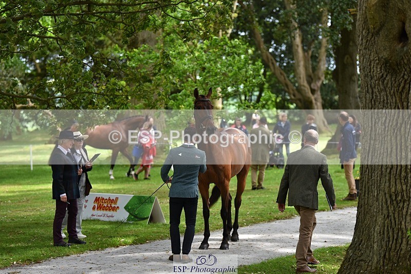 240522-145952-00026 - 301-CAMOUFLAGE-Alexander_Bragg