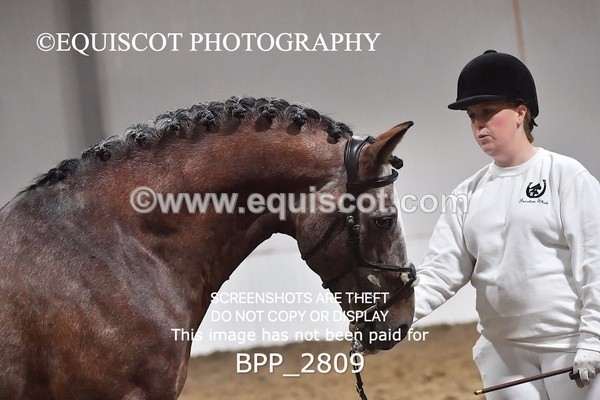 BPP_2809 - LOOSE JUMPING / SPSS