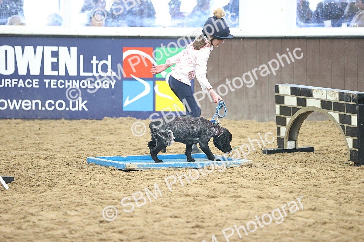 SBM_001438 - Class 3 - Horse & Hound 60cm