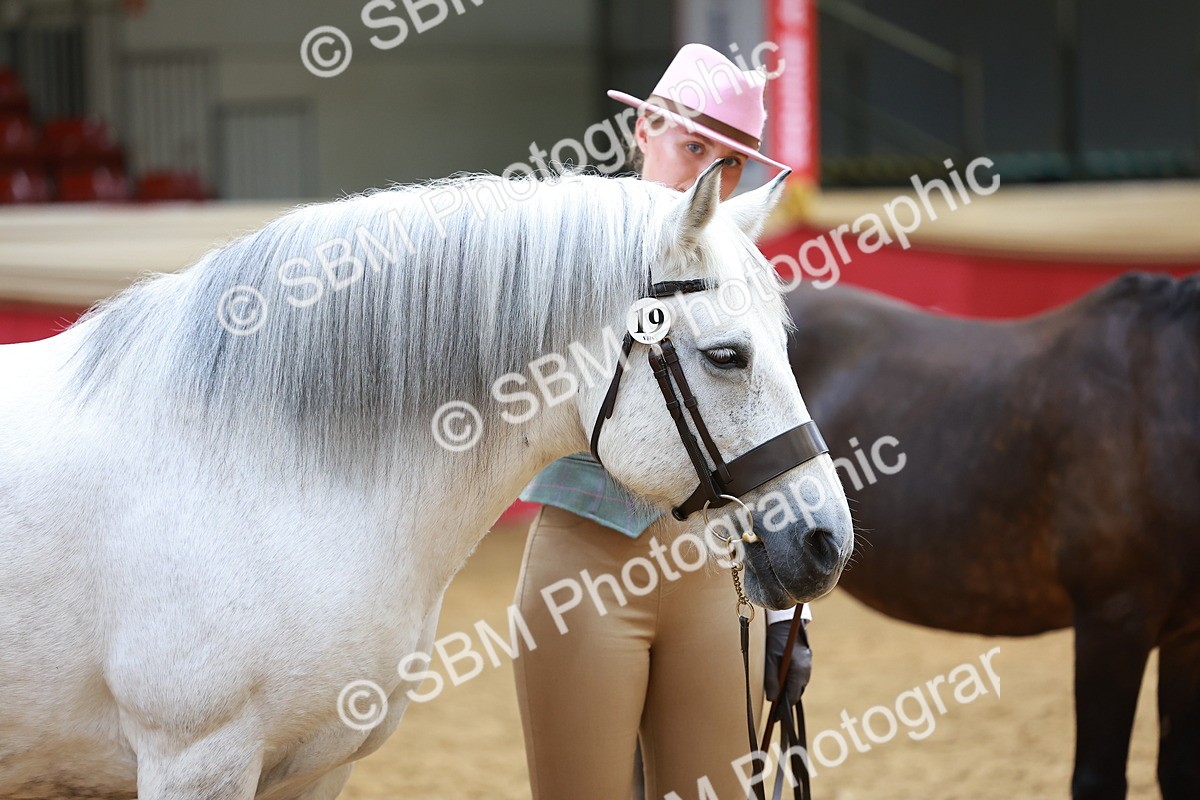 SBM_04157 - Class 9R - IH Pre-Vet