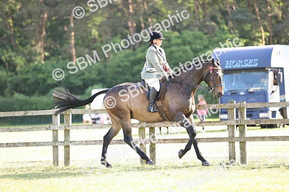 SBM_19784 - Class 87-88 - RIHS BSHA Riding Horses