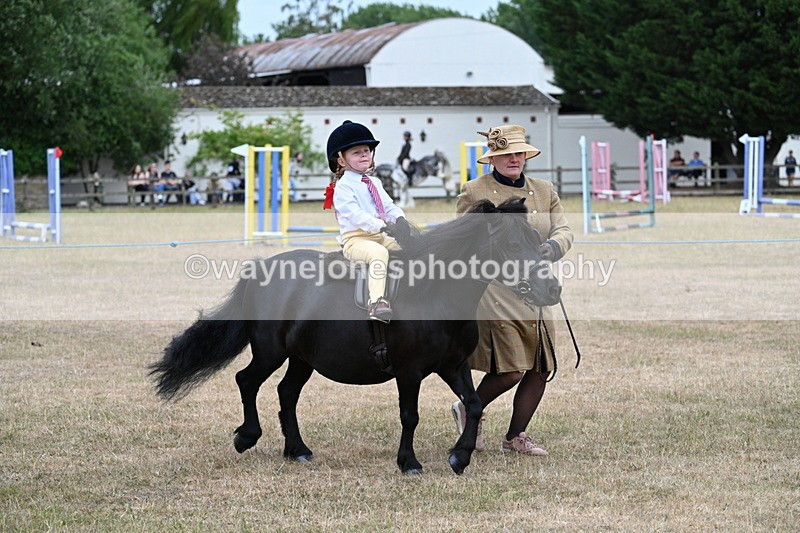 WJ7_8507 - Class 4 Prettiest Mare up to 14.2hh