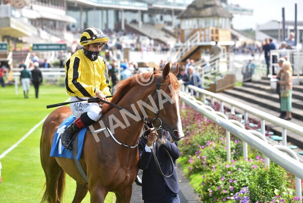 yr10072021r2-2 - Race 2: 2.20pm John Smith's Silver Cup Stakes