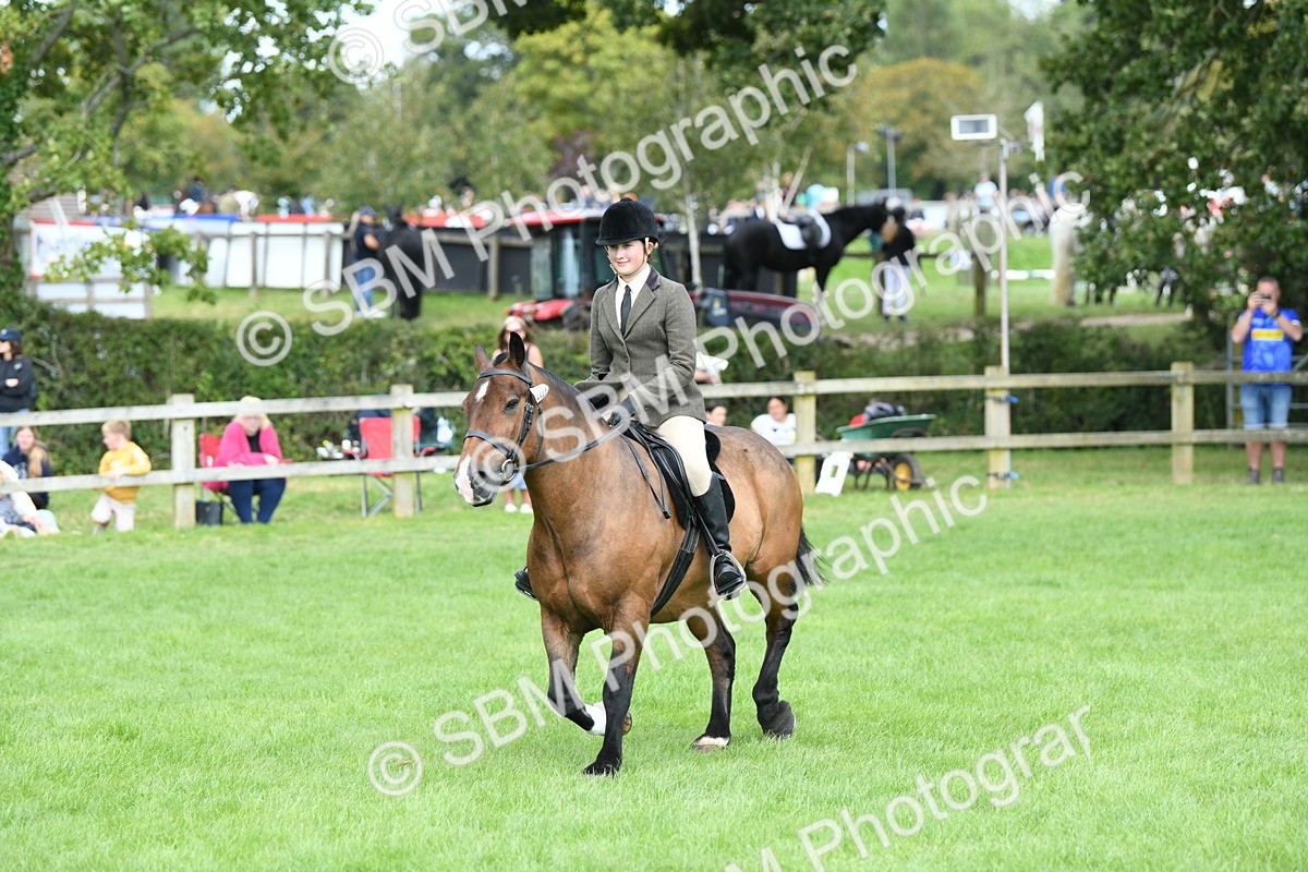 SBM_46865 - S12 - Family Horse & Pony