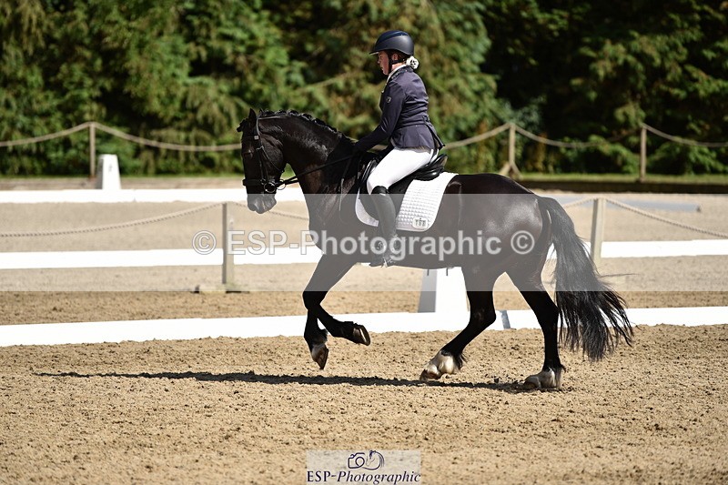 140110A-050010-12341 - 168-Samantha.Pring-Tongwynlais.Moon.Dancer