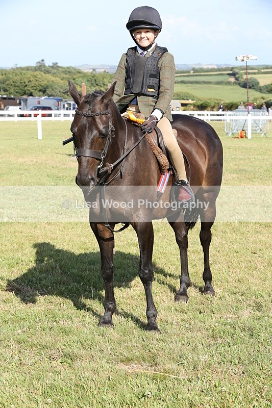 JPP_3054 - Class 20: Working Hunter 70cm