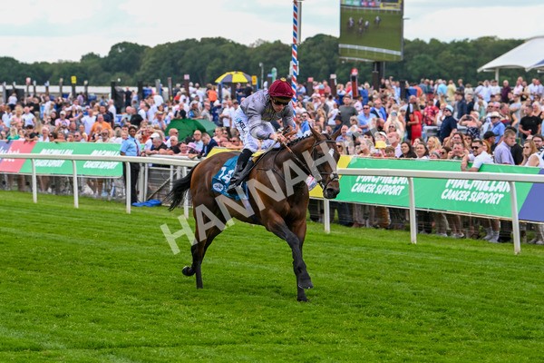 140625-Race 1-Humam-1949 - Race 1 1.50pm Doug Johnston Memorial Ubettabelieveit Macmillan Handicap