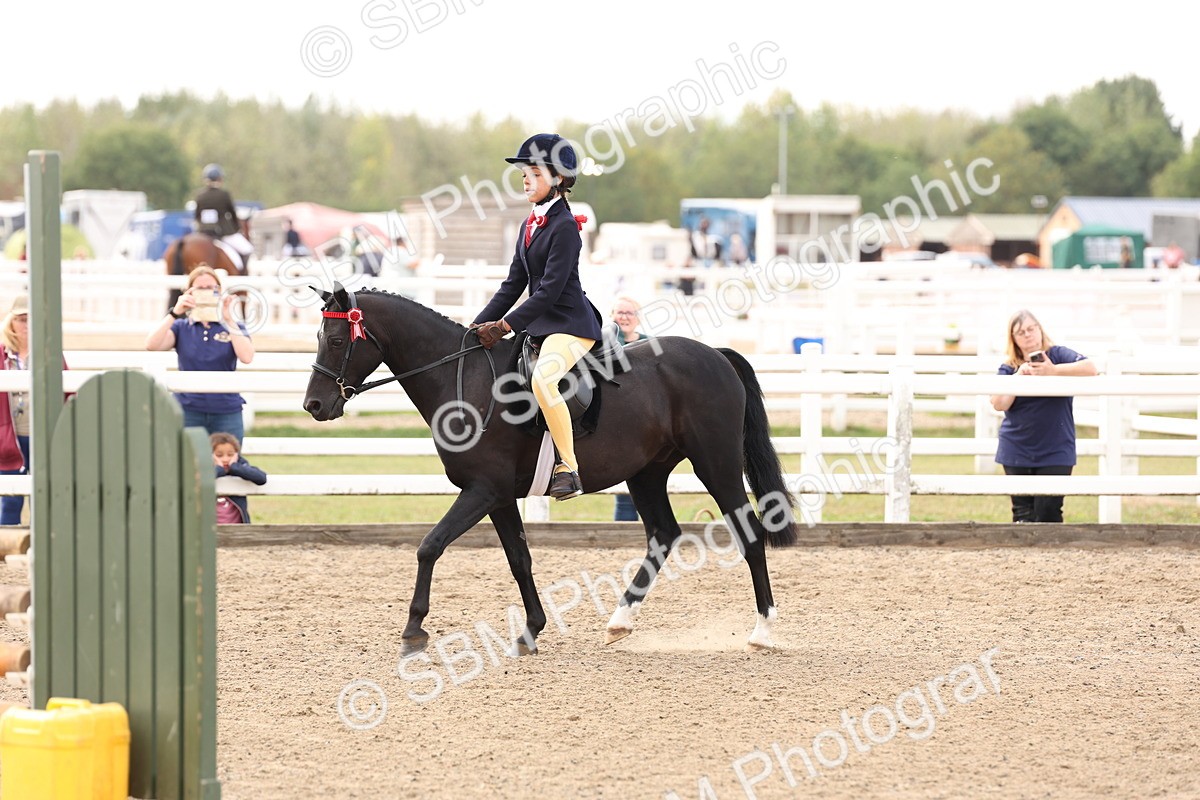 SBM_04247 - Class 54 - Riding Club Horse/Pony