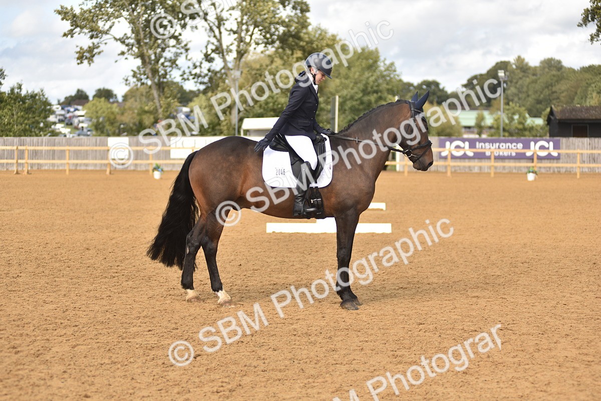 SBM_48792 - D22 - Junior Championship Intro 3