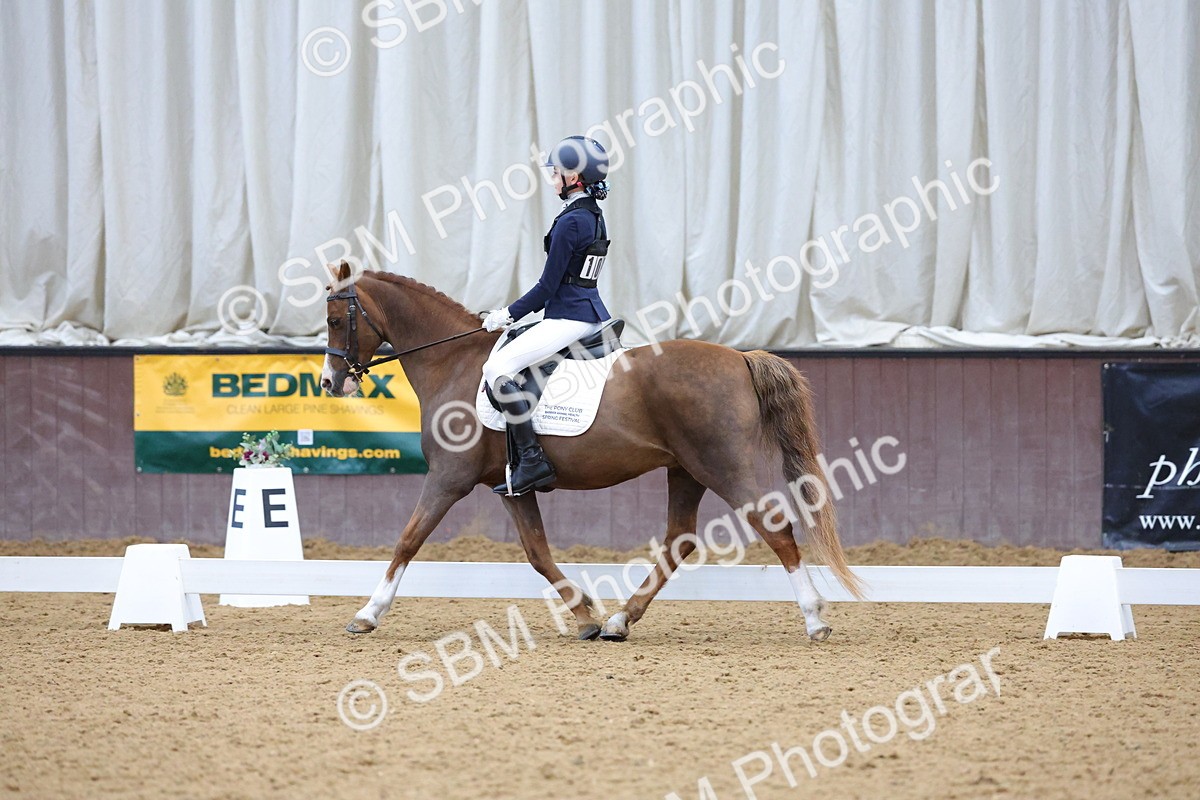 SBM_003667 - Novice