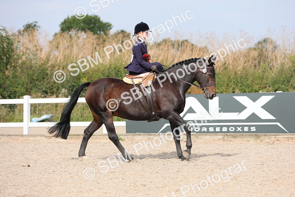 SBM_14642 - Class 211 Best Side Saddle Horse/Pony