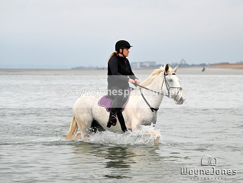 WJ7_9242 - Hayling Island Beach Shoot 22-09-24