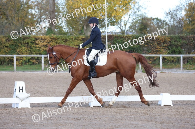 20251102-0704 - Class 4 - Novice 6