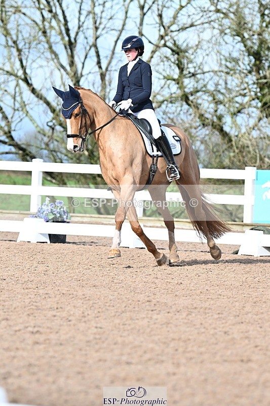 240218A-114315-06820 - 272-Beth.Bainbridge-Newton.Dreamcatcher