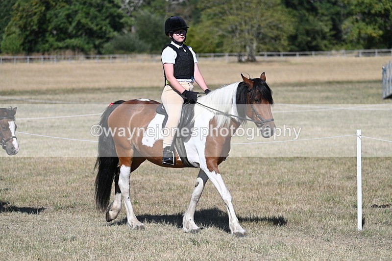 WJ7_2026 - Class 44 Child's Best Friend