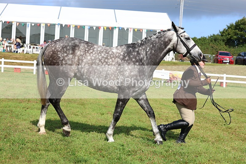 3E7A9098 - Class 3: Rising Star S/L Hunter