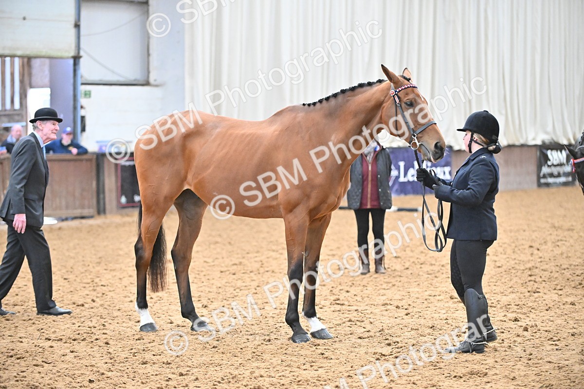 SBM_000227 - Class 7 - ROR Tattersalls In Hand
