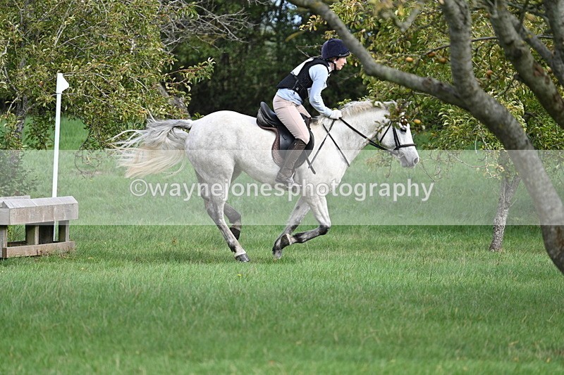 WJ7_8431 - 60cm Pairs