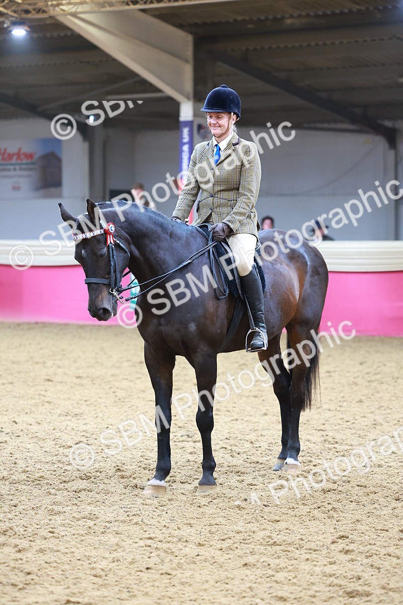 SBM_09837 - Class 102 - HOYS Veteran Qualifier - Ridden Veteran