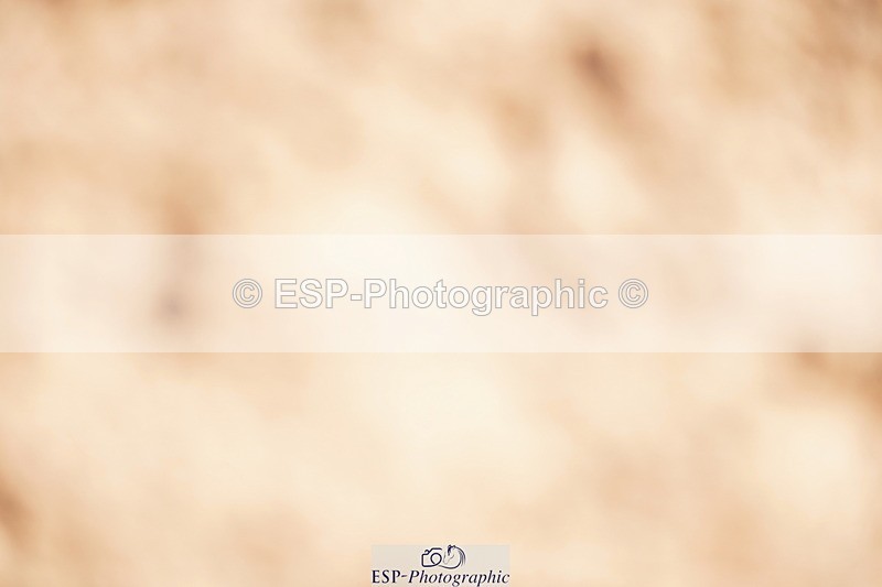 240524A-105022-02922 - Cls 14 Newcomers