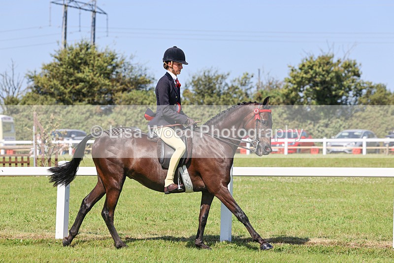 IMG_1980 - Class 33: Show Pony 148cm and under