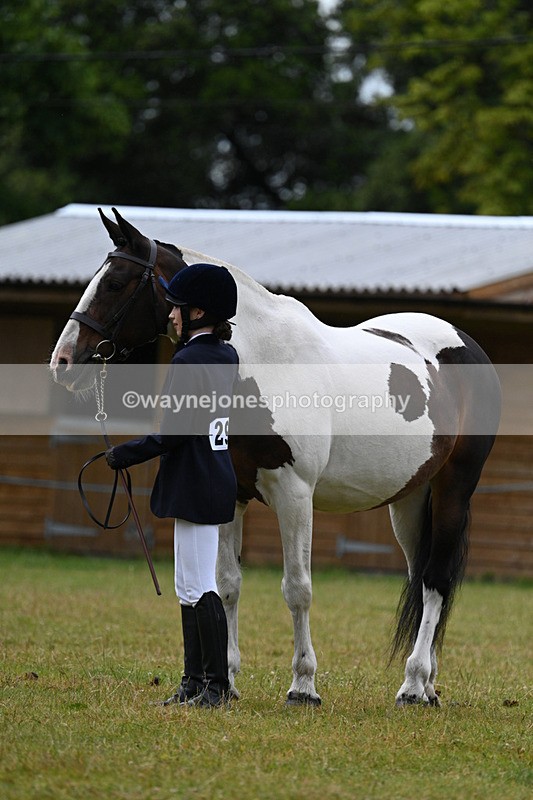 WJ7_6305 - Class 4a Prettiest Mare over 14hh