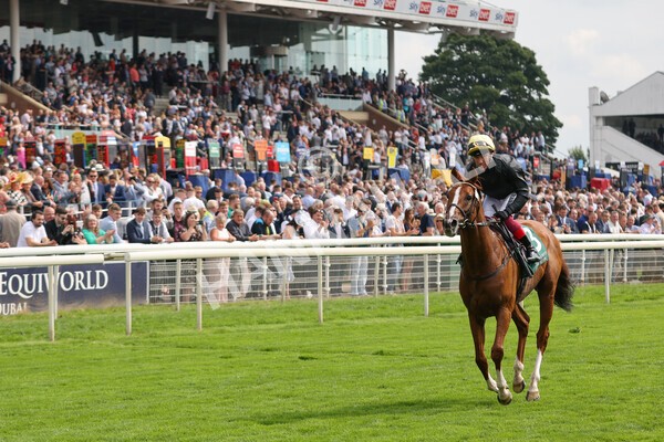 yr20082021r2-69 - Race 2 2.25pm Weatherbys Hamilton Lonsdale Cup (British Champion Series race)