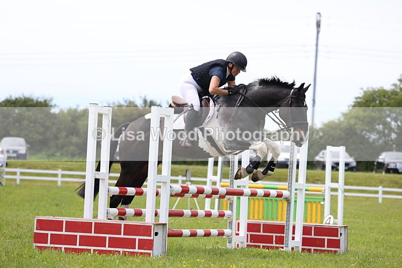 3E7A1544 - Class 13: Senior British Novice/90cm open