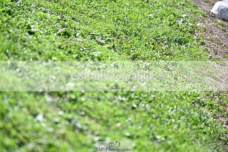 250924-133933-00451 - Cls 6 Foxhunter and 1.20m Open